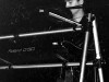 Scancicci-Live