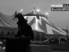 Foto Icona Zen Annuncio video